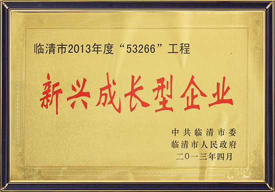 Новое растущее предприятие