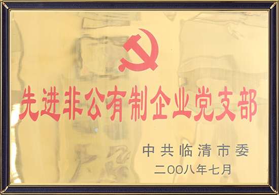 Партийное отделение передовых негосударственных предприятий