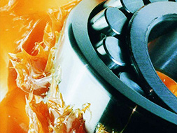 Как проверить, не заплесневела ли смазка подшипника плесенью