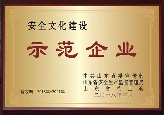 Демонстрационное предприятие